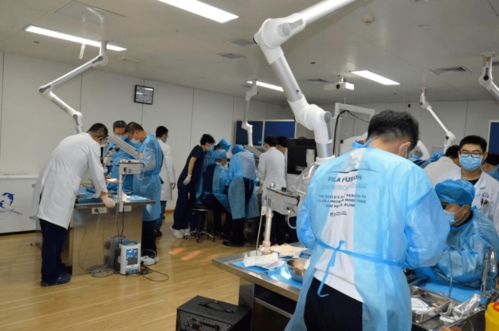 第八期吉林省神經外科專業技術質量控制培訓班圓滿閉幕，開創影視專業技術培訓新篇章